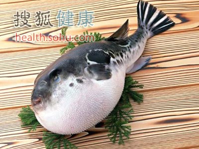 10条让你吃出鱼真营养的建议
