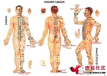 中医养生专家：入伏 可选三伏灸