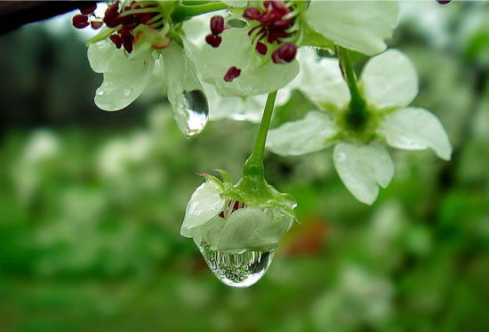 夏季多雨天气养生攻略