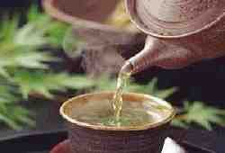 老人喝茶养生有哪些讲究