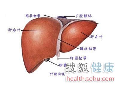 中医教你辨认身体毒素
