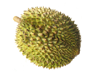 榴莲能缓解痛经