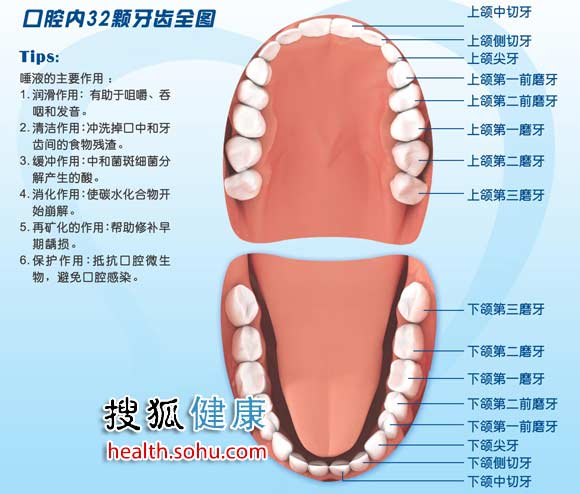 跟8类人接吻会被传染病