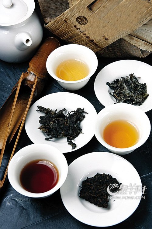 喝普洱茶:保健竟变致癌?