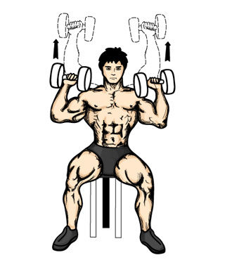 三动作打造男人性感倒三角身材