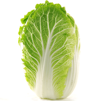 大白菜也能养脾胃 秋冬肺燥咳嗽喝白菜豆腐汤