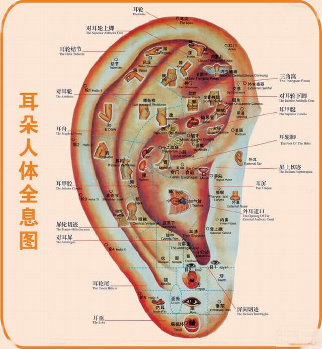 按摩三穴位防止过度出汗 合谷止手汗效果明显