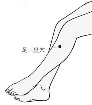 胃经是人体后天之本：拍击足三里 胜吃老母鸡