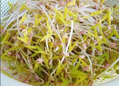 绿豆芽是秋季的“黄金菜”：解毒 瘦身 营养高