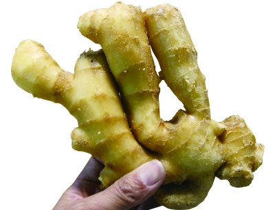 生姜长芽无毒不影响食用 慎买外表光鲜漂亮的姜
